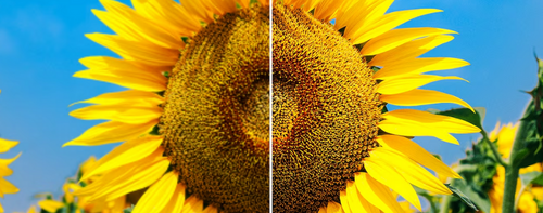 Modulo opzionale wireless