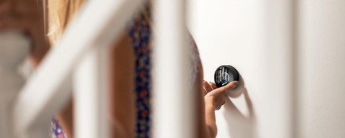 Modulo opzionale wireless